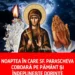 In noaptea de 13 spre 14 Octombrie , Sfanta Parascheva coboara pe Pamant si indeplineste dorinte