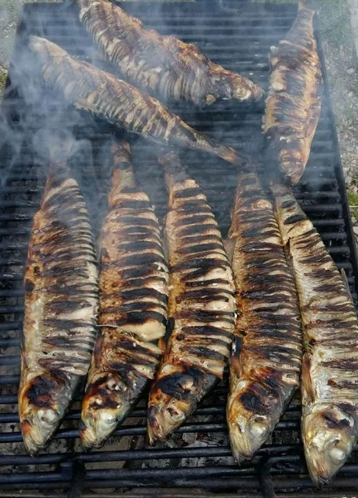 Cel mai sănătos pește. Este de 1.500 de ori mai eficient decât medicamentele