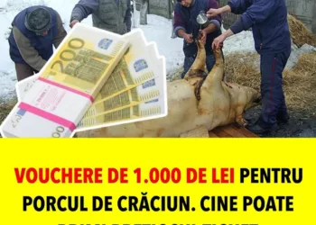 Vouchere de 1.000 de lei pentru porcul de Crăciun. Cine poate primi preţiosul tichet