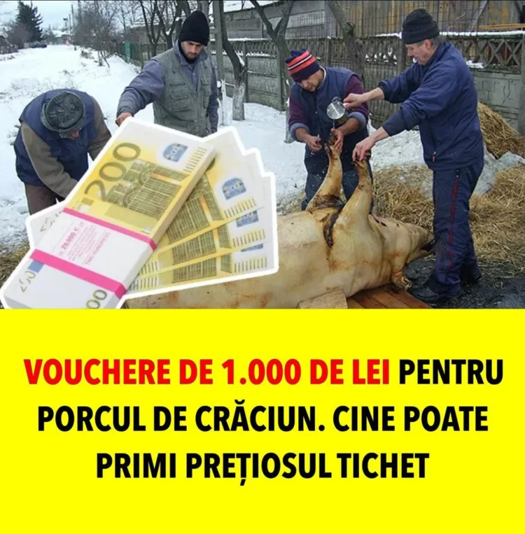 Vouchere de 1.000 de lei pentru porcul de Crăciun. Cine poate primi preţiosul tichet