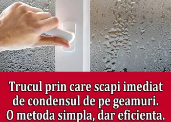 Trucul prin care scapi imediat de condensul de pe geamuri. O metoda simpla, dar eficienta