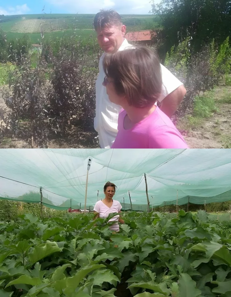 O familie din Arad a invatat de pe internet cum sa faca bani. Au inceput in propria curte iar acum au o afacere care produce milioane