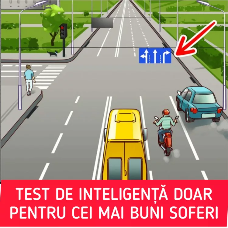 Test de inteligență rapid pentru șoferii iscusiți! Găsește greșeala din trafic în doar cinci secunde