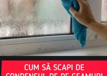 Trucuri eficiente pentru a elimina condensul de pe geamuri în perioada rece