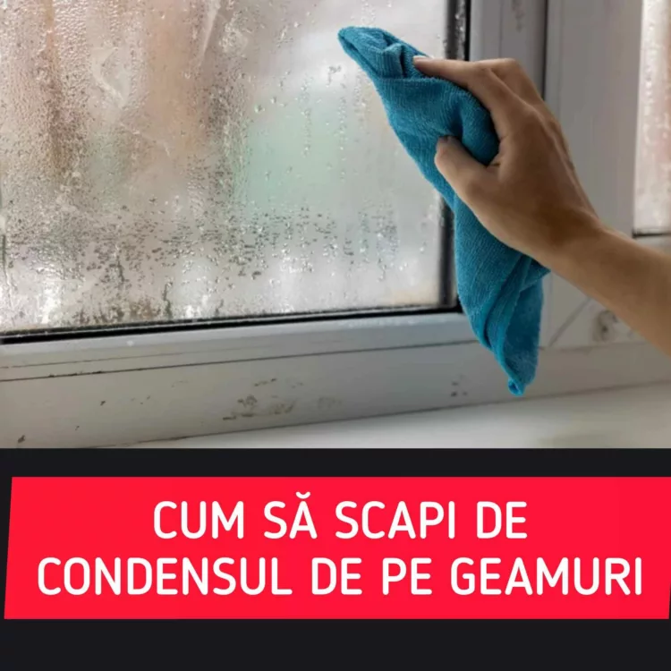 Trucuri eficiente pentru a elimina condensul de pe geamuri în perioada rece