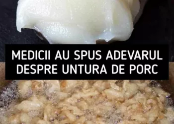 Medicii au spus adevărul despre untura de porc. Vei mai consuma