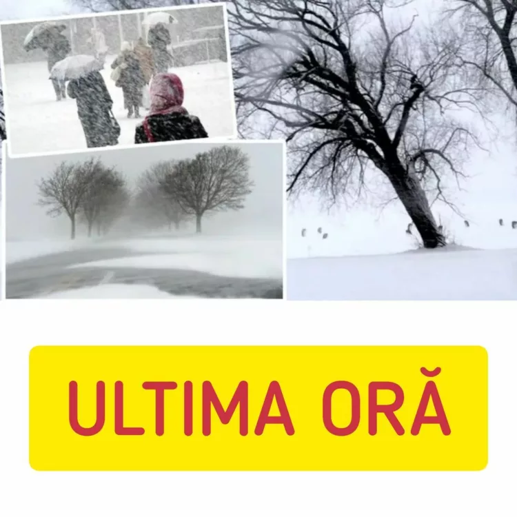 Un nou ciclon lovește România! Alertă meteo cod portocaliu și galben de ninsori și viscol. Rafalele de vânt vor depăși 100 km/h
