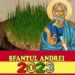 Când se pune grâul la încolțit de Sfântul Andrei 2023- Ce spune tradiția