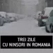 Trei zile cu ninsori în România. Zonele în care se va depune strat de zăpadă
