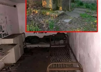 „De cativa ani sunt pensionata. Nu am nepoti, de fapt am 2, dar nu i-am vazut niciodata deoarece de 23 ani, fiica mea nu comunica cu mine. Stiti care este motivul? Nu mi-a placut sotul ei chiar de la bun inceput si nu am vrut sa se casatoreasca cu el. Ei totusi s-au casatorit, dar eu nu am mers la nunta lor si nu l-am lasat nici pe fiul meu sa mearga. Deci am si un fiu..nici lui nu ii este bine si e tot vina mea. Are 40 de ani. De doua ori a fost casatorit, dar niciodata nu mi-au placut nurorile…” Ce a facut femeia