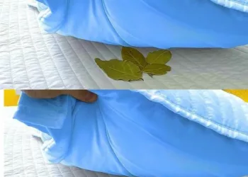 Pune frunze de dafin sub pernă: trucul care rezolvă o problemă pe care o avem cu toții