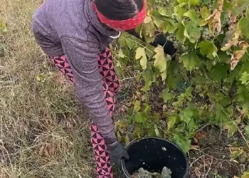 O recunoști?! O fostă vedetă de la Antena 1 a ajuns, acum, să trăiască din mila oamenilor