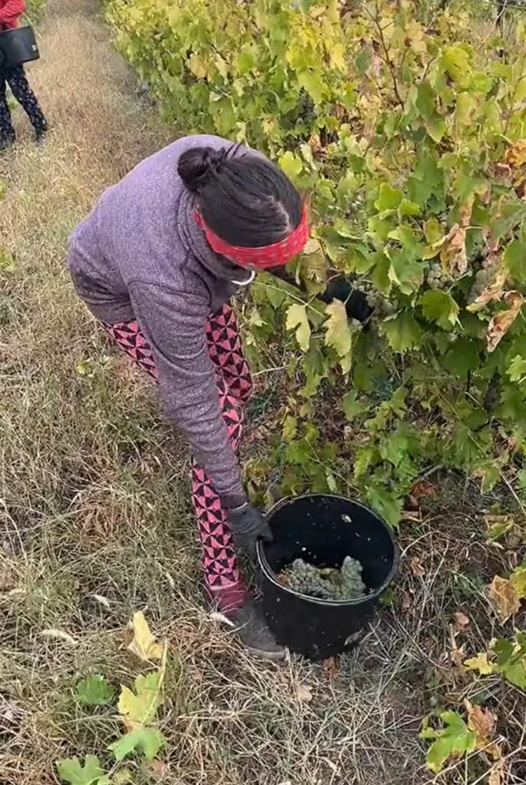 O recunoști?! O fostă vedetă de la Antena 1 a ajuns, acum, să trăiască din mila oamenilor