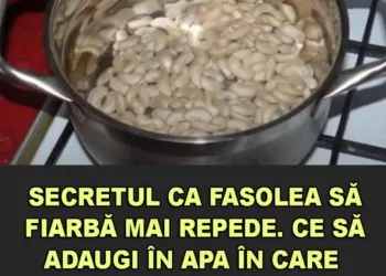Secretul ca fasolea să fiarbă mai repede. Ce să adaugi în apa în care pui boabele. Cu aceste trucuri va ieși pur si simplu delicioasa
