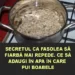 Secretul ca fasolea să fiarbă mai repede. Ce să adaugi în apa în care pui boabele. Cu aceste trucuri va ieși pur si simplu delicioasa