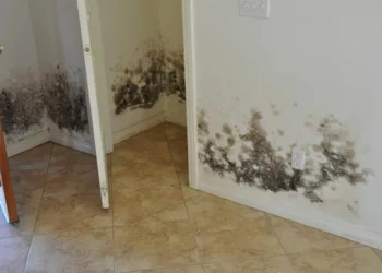 Ai idee cum scapi cel mai ușor de igrasie? Trucul pe care toți trebuie să-l afle. Spune adio mucegaiului fără produse chimice și foarte simplu! Uite cum