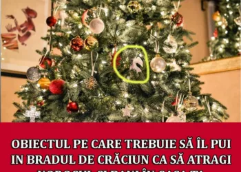 Obiectul pe care trebuie să îl pui in bradul de Crăciun ca să atragi norocul și bani în casa ta. Aduce prosperitate pe toate planurile