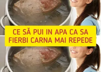 Ce să pui în apă ca să fierbi carnea mai repede. Secretul pe care îl au gospodinele experimentate