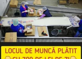 Locul de muncă plătit cu 700 de lei pe zi. Angajatorul oferă două mese pe zi, precum și bani pentru chirie. Ce presupune jobul
