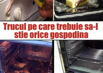 Uite cum sa cureti aragazul fara detergent si fara sa-l freci! Trucul pe care trebuie sa-l stie orice gospodina…