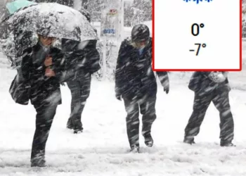 Vin ninsorile în ianuarie 2024 în România.