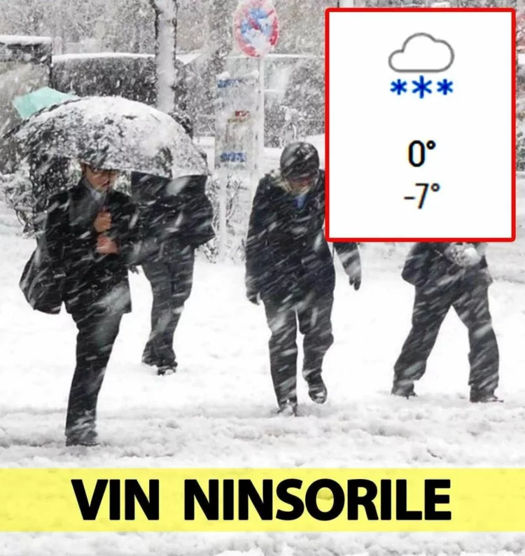 Vin ninsorile în ianuarie 2024 în România.