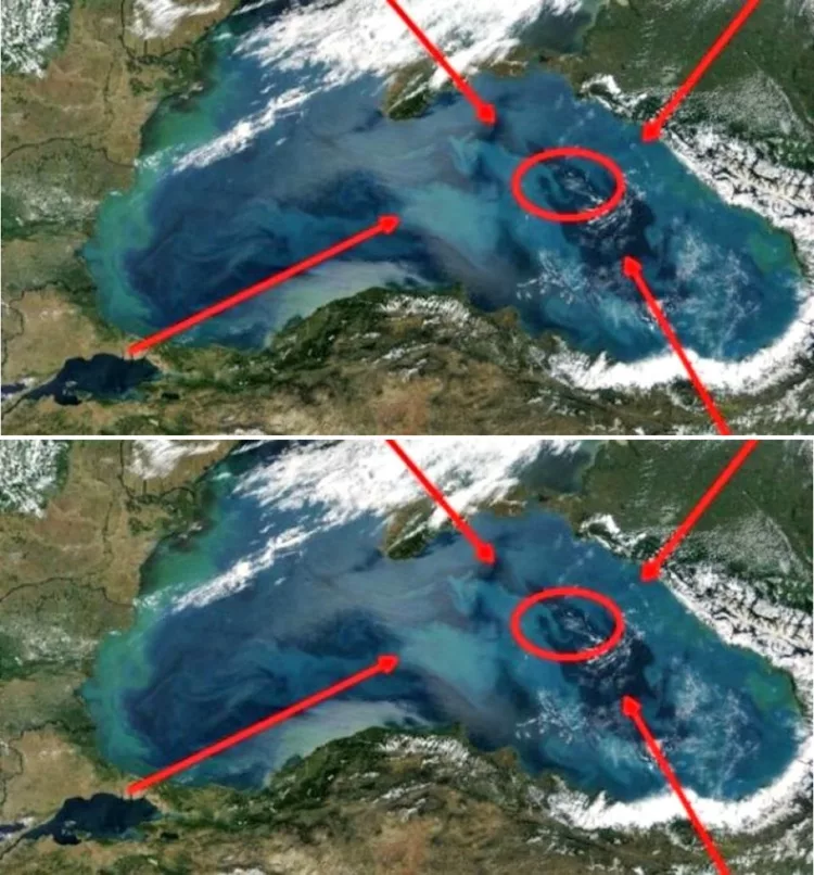 Uite ce se ascunde pe fundul Mării Negre: