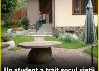 Un student din Cluj a trăit șocul vieții când proprietara casei unde stătea a vrut să i-o doneze