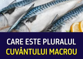 Care este pluralul cuvântului macrou? Puțini români știu