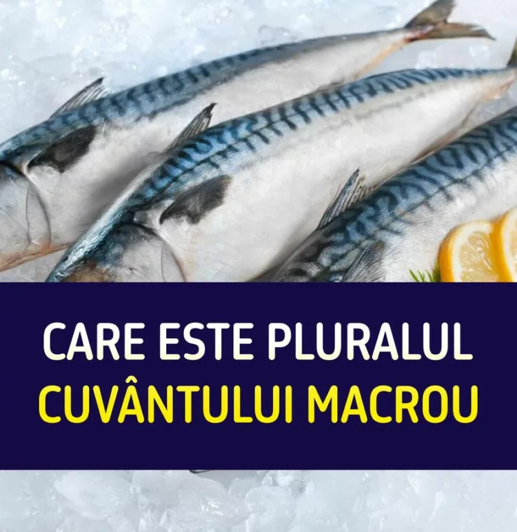 Care este pluralul cuvântului macrou? Puțini români știu