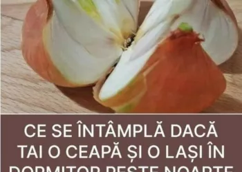 Ce se întâmplă dacă tai o ceapă în patru și o lași în dormitor peste noapte! Puțină lume știe acest lucru, dar chiar funcționează!