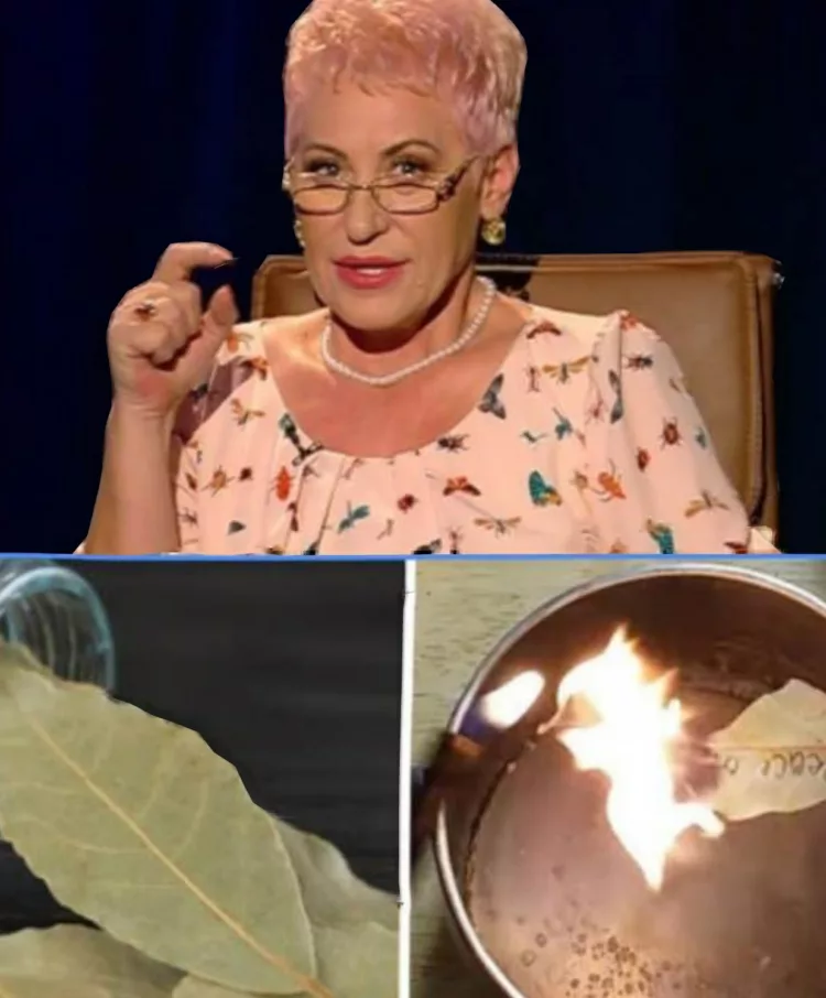 Lidia Fecioru: De ce este bine să ardem o frunză de DAFIN în casă. Nu te-ai fi gândit la asta!