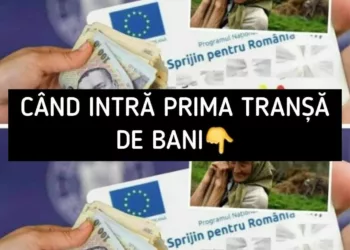 Când intră prima transa de bani pe Cardurile Sociale in 2024 – Vezi si calendarul pe anul 2024