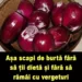 Așa scapi de burtă fără să ții dietă și fără să rămâi cu vergeturi pe corp: Trebuie să faci un singur lucru cu o ceapă roșie, în fiecare zi