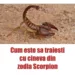 Cum este sa traiesti cu cineva din zodia Scorpion: ce obiceiuri are…