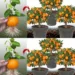 Nu mai cumpăra mandarine: învață să le plantezi pentru a le avea acasă la nesfârșit