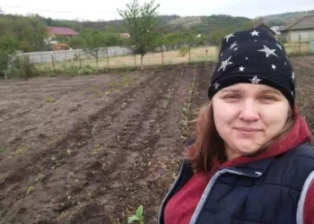 O femeie a dat lovitura! A plantat acest soi în grădina ei și s-a îmbogățit! Vestea i s-a dus și toți vin să vadă minunea din curtea ei