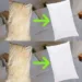 Iată cum să cureți pernele de pat murdare pentru a le face albe și a le da un miros plăcut