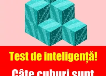 Test de inteligență special pentru românii ageri!