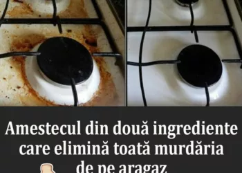 Amestecul din doua ingrediente care elimina toata murdaria de pe aragaz. Trucul care iti va schimba viata