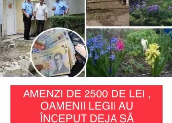 Amenzi, atenție, de 2.500 de lei, pentru cei care plantează zambile în fața blocului, fără să ceară permisiunea de la Primărie!