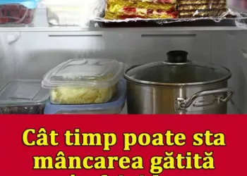 Cât timp poate sta mâncarea gătită în frigider.