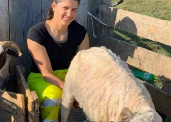 Cât de mulți bani poate să facă Geta, sora lui Culiță Sterp? Sora artistului e ciobănița și are propria stână de oi