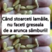 Când stoarceți lămâile, nu faceți greșeala de a arunca sâmburii: aceștia valorează cât aurul atunci când sunt folosiți corespunzător