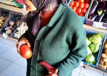 Avea doar 1 LEU în mână şi a intrat în aprozar să-şi cumpere o roşie. S-a uitat în jurul ei şi a oftat adânc…