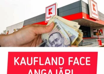 Angajări Kaufland 2024. Salariu de 6.400 de lei, plus bonuri de masă şi transport gratuit