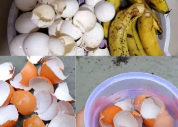 Nu mai arunca cojile de ou, au valoare de aur în casă și grădină