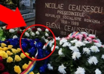 S-a aflat! Cine pune flori în fiecare săptămână la mormântul lui Nicolae Ceaușescu.