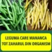 Leguma care mananca tot zaharul din organism. Beneficii nestiute pentru sanatate