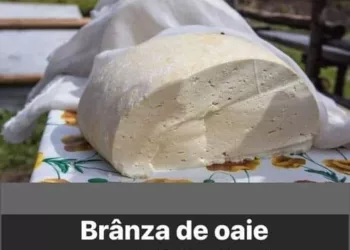 Descoperirea șocantă despre brânza de oaie: trebuie să citești asta înainte de a o mai cumpăra: Secretul ascuns care te va soca